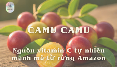 Camu Camu – Siêu trái cây Amazon, nguồn vitamin C tự nhiên mạnh mẽ cho sức khỏe và làn da