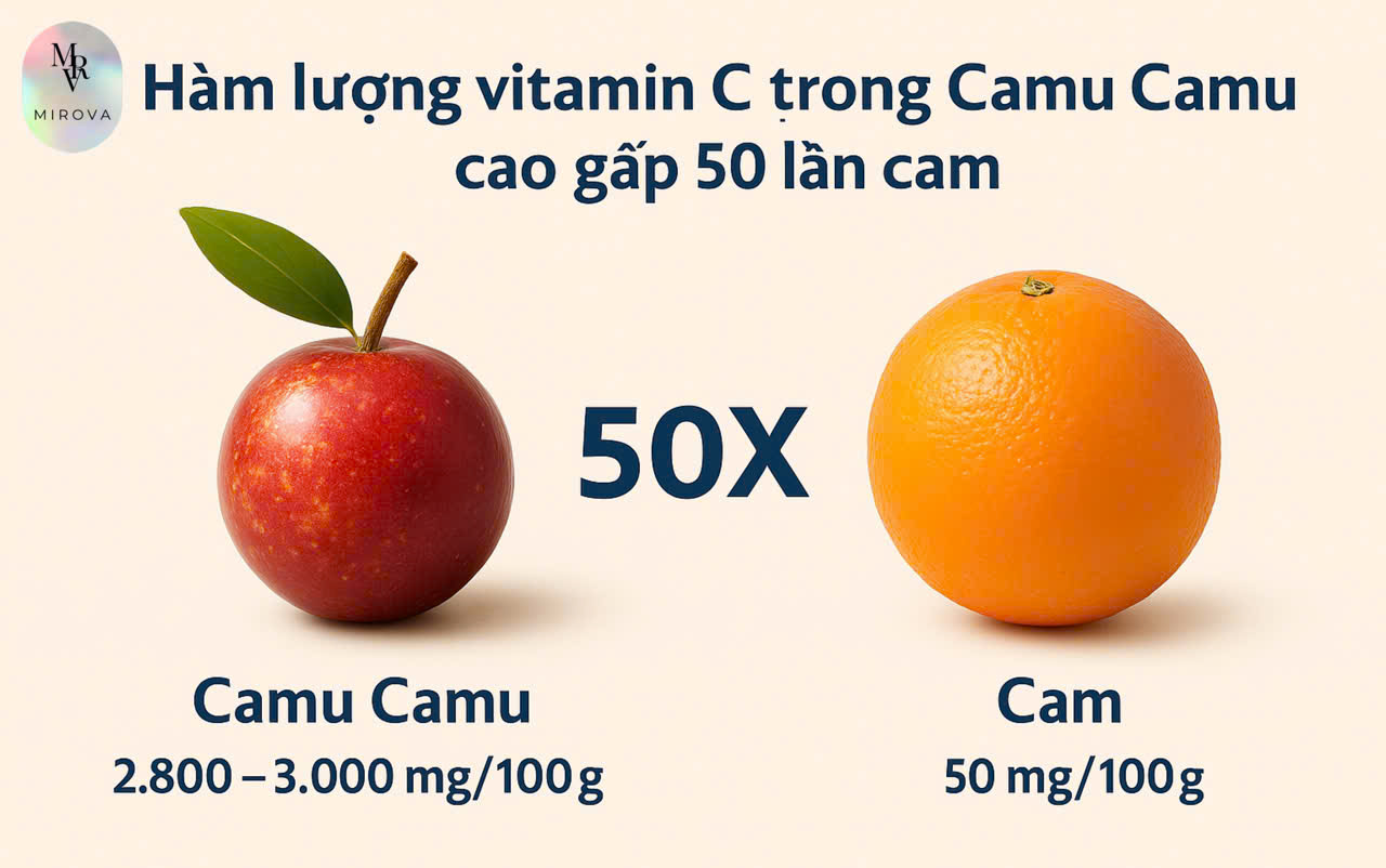 Camu Camu – Siêu trái cây Amazon