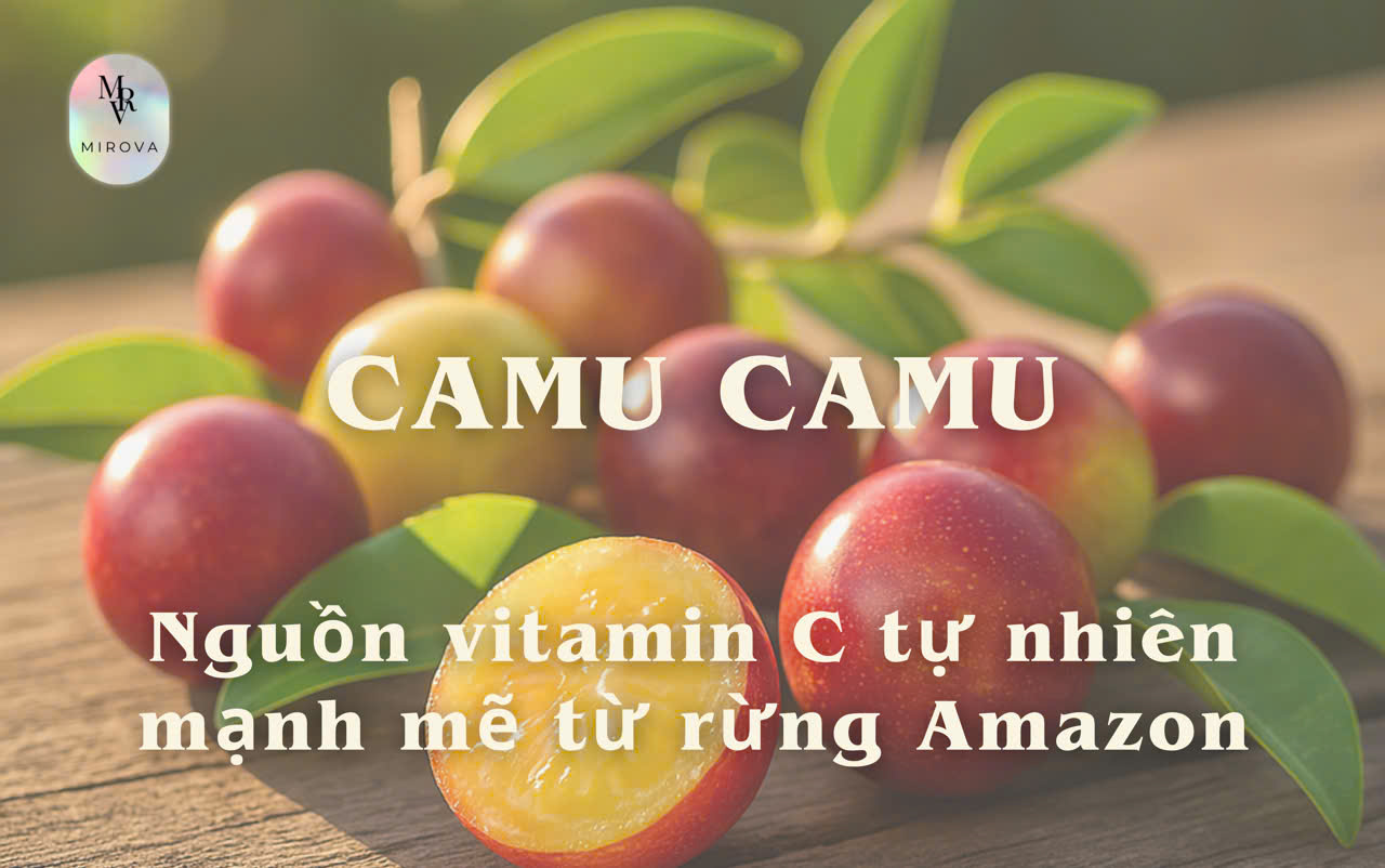 Camu Camu – Siêu trái cây Amazon