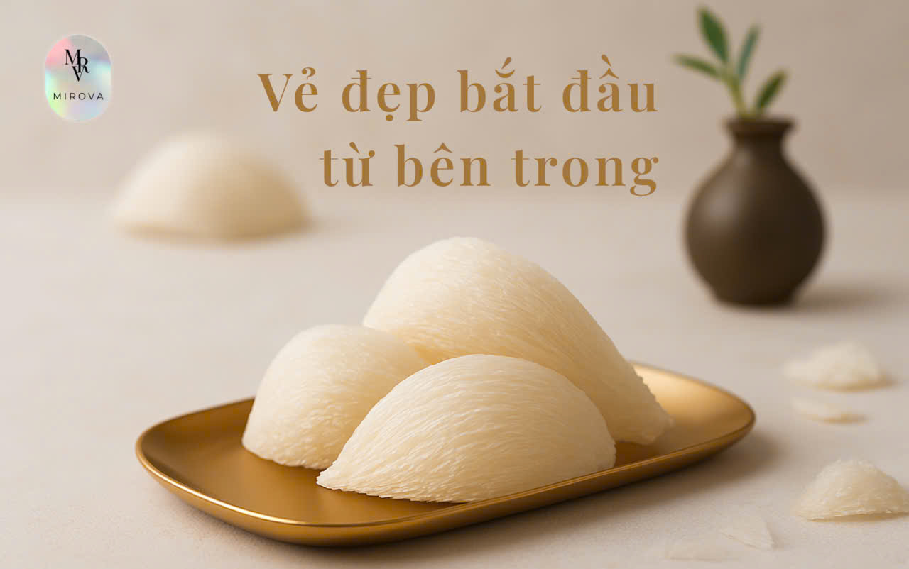 Yến Sào - Nghi thức làm đẹp từ bên trong dành cho Phụ Nữ hiện đại